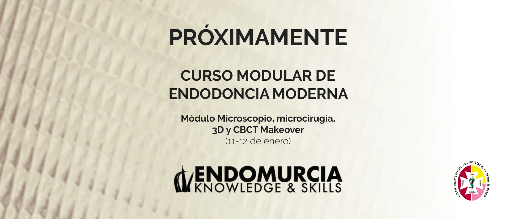 Curso modular de endodoncia moderna de EndoMurcia