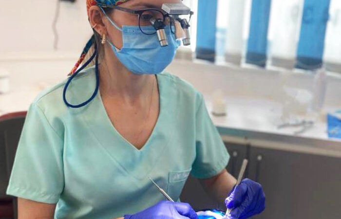 Interview with Dr. Thais Pereira about Ergo 7.5x Loupes Portada del artículo del blog de Víttrea en el que se muestra una entrevista con la doctora Thais Pereira.