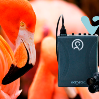La cámara Flamingo: innovación en movimiento Portada - Lanzamiento Cámara Flamingo