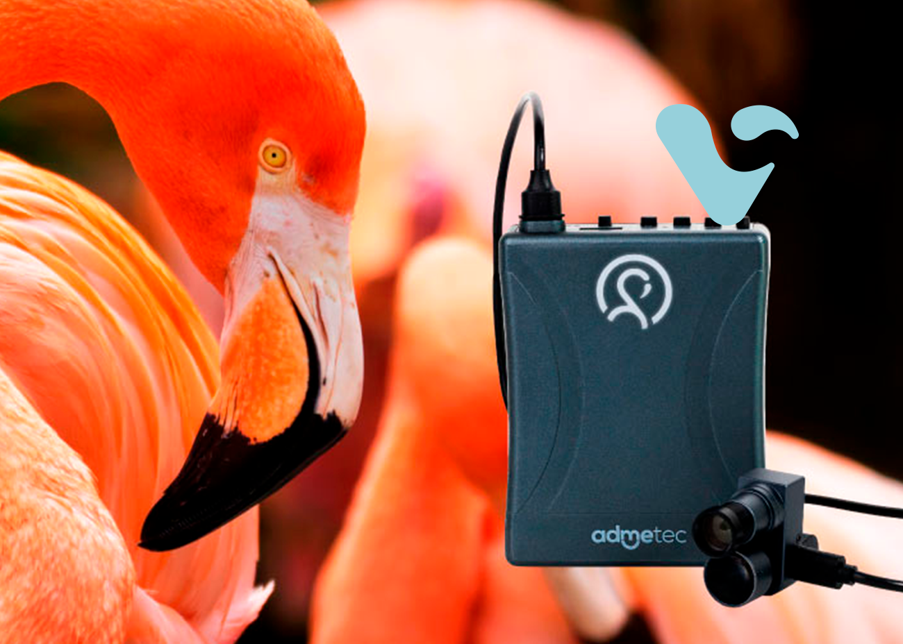 La cámara Flamingo: innovación en movimiento Portada - Lanzamiento Cámara Flamingo