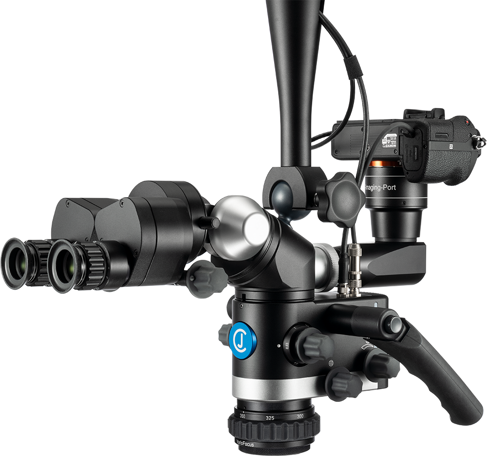 Flexion Advanced Advanced head right 3D new VF
