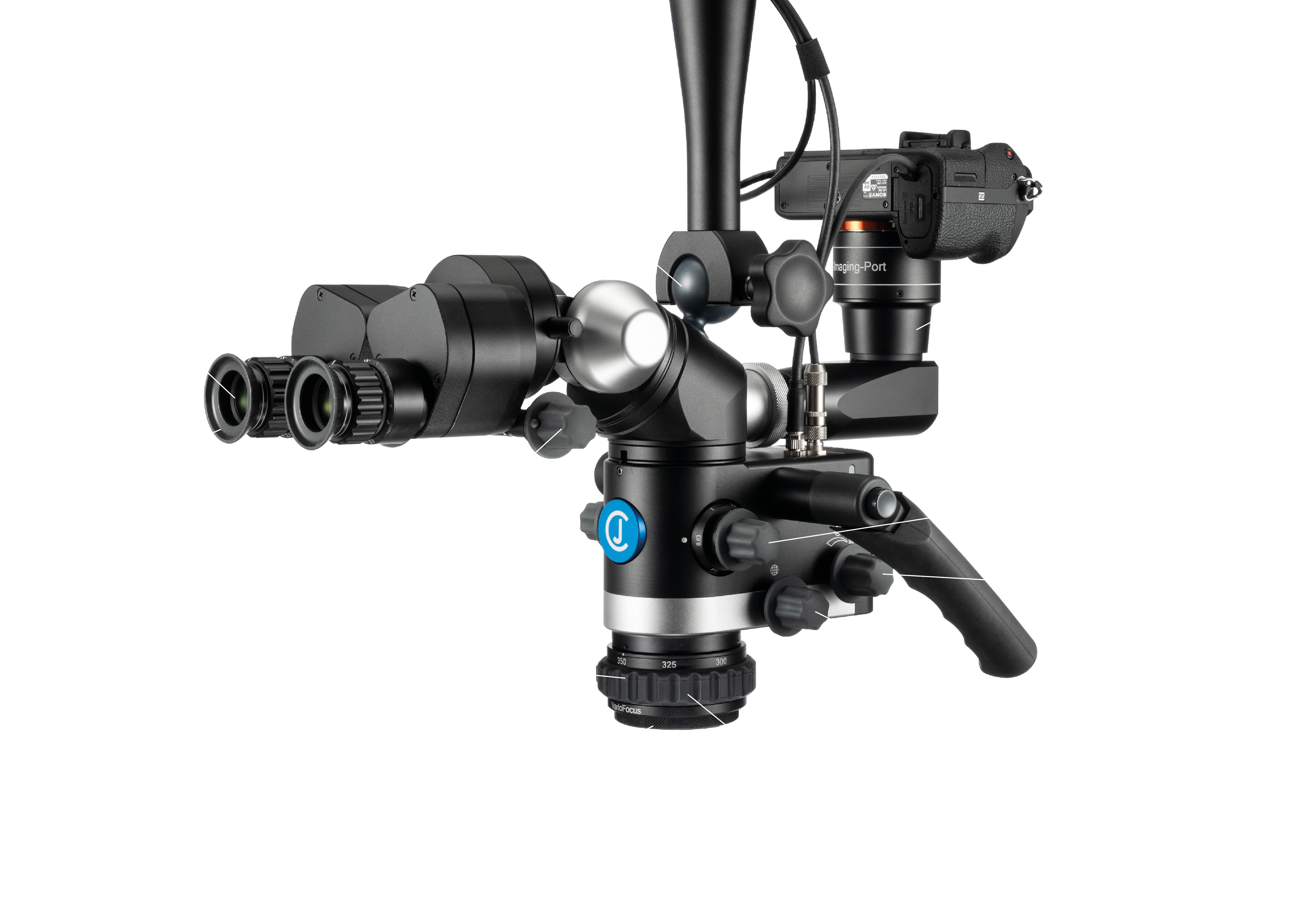 Flexion Advanced Inforgrafia Advanced ESP