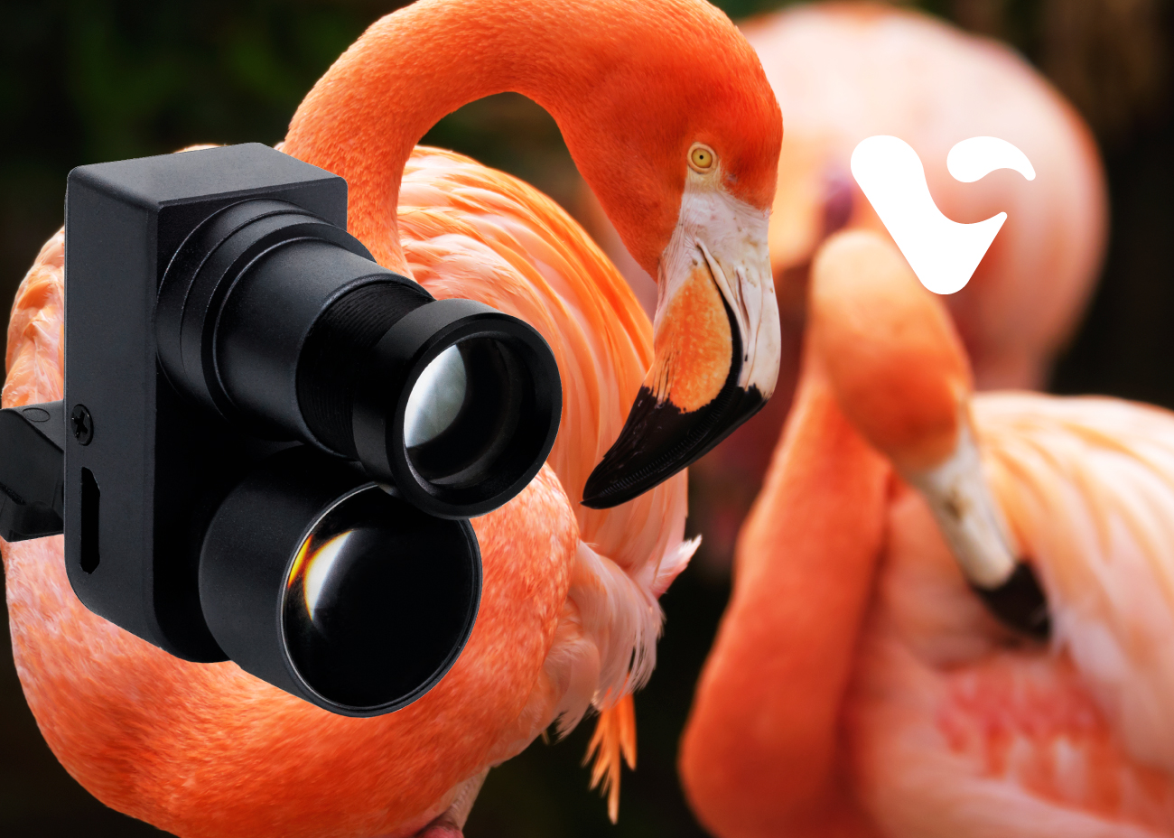 The Flamingo Camera by Víttrea: innovation in imaging for healthcare professionals flamingo-camera-vittrea