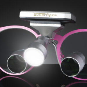 IPG Butterfly 10 Luz1 e1742901631820