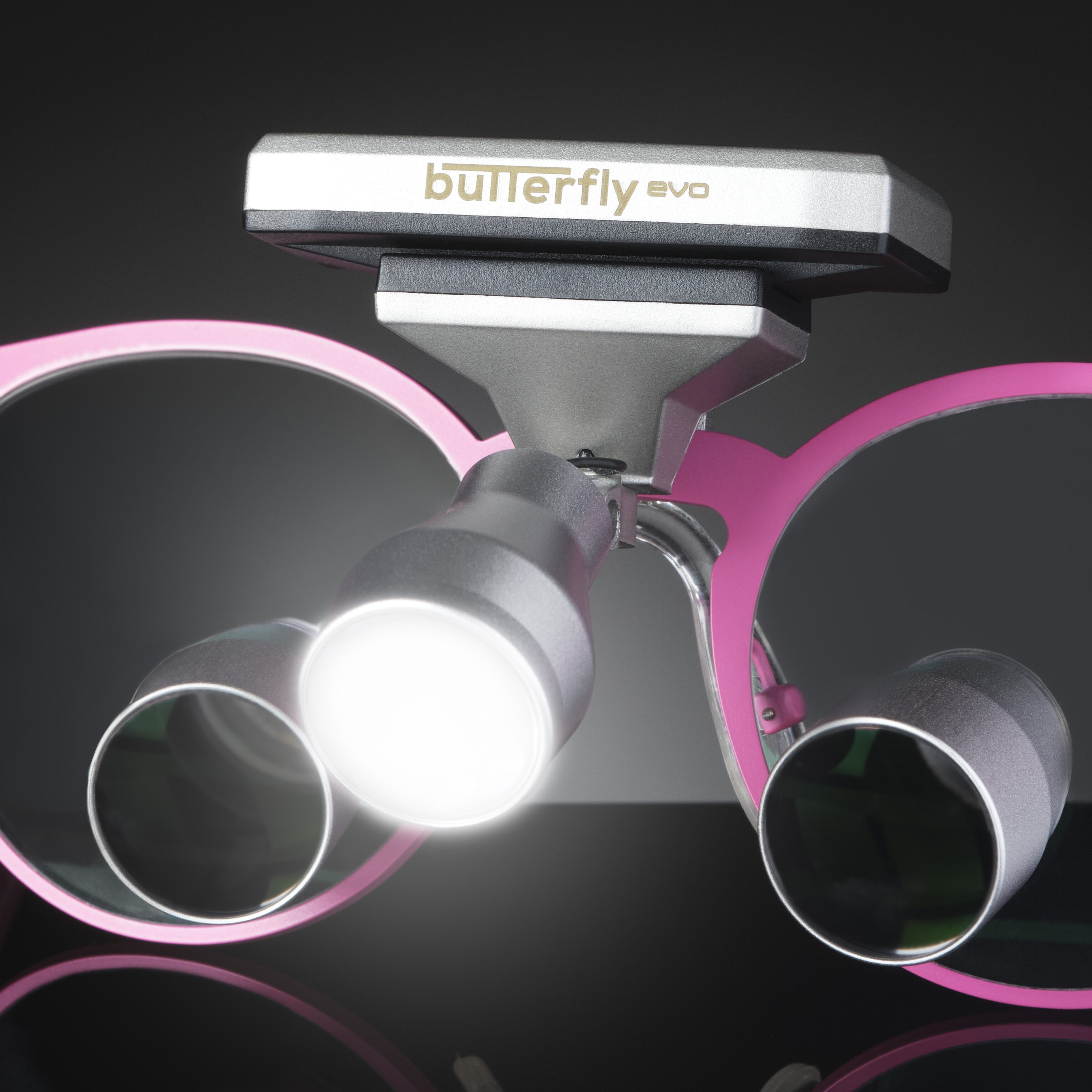 Butterfly EVO IPG Butterfly 10 Luz1 e1742901631820