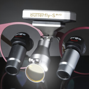 IPG Butterfly 11 Luz 1 e1742904537238