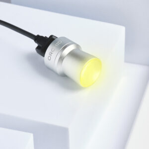IPG Orchid 1 Luz Amarilla1