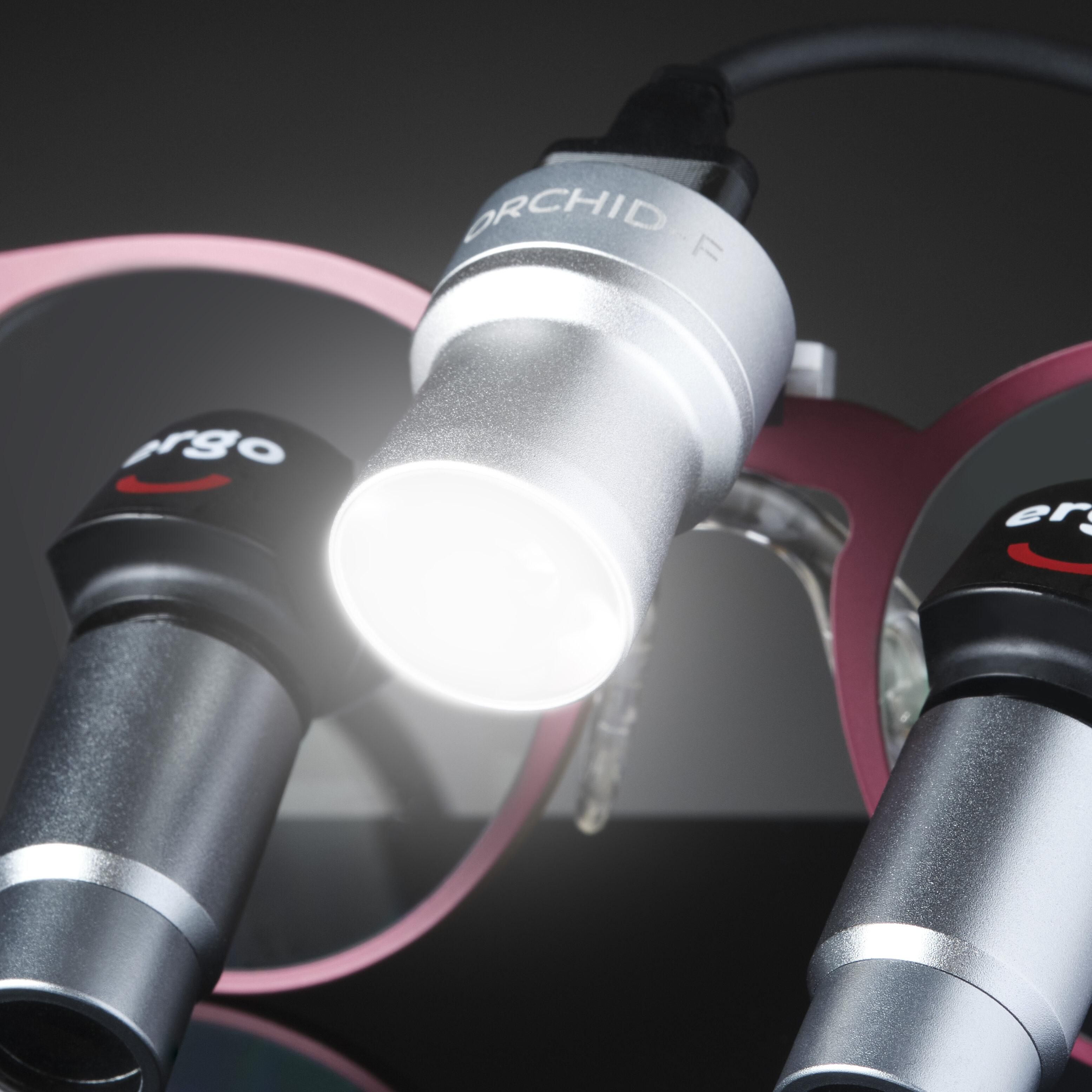 Orchid-F IPG Orchid 11 Luz1 e1742899541496
